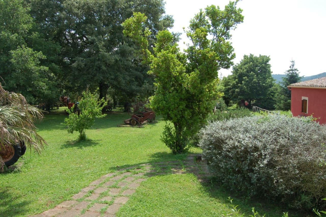 Agriturismo Castro Villa Ischia di Castro Eksteriør bilde